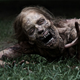 Illustration for article titled The US Military Has A Real Plan To Fight The Zombie Apocalypse